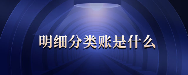 明細(xì)分類賬是什么