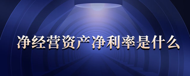 凈經(jīng)營資產(chǎn)凈利率是什么