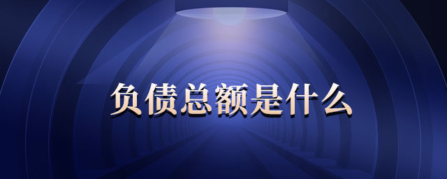 負(fù)債總額是什么 負(fù)債總額是什么