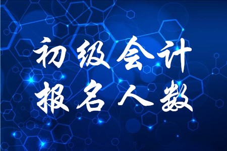 2020年初級(jí)會(huì)計(jì)職稱報(bào)名人數(shù)有多少？