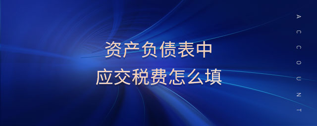 資產(chǎn)負(fù)債表中應(yīng)交稅費怎么填