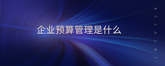 企業(yè)預算管理是什么