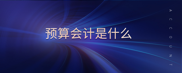 預(yù)算會計是什么