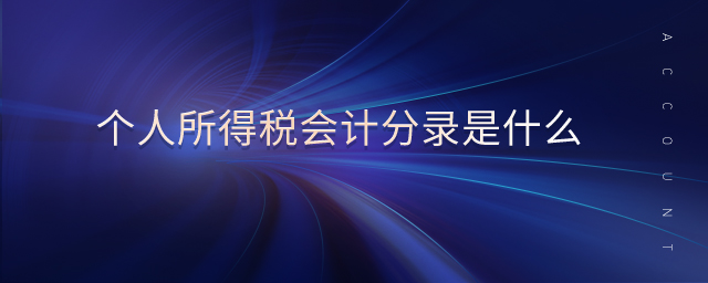 個人所得稅會計分錄是什么
