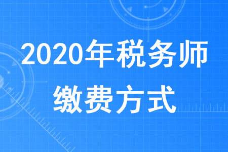 2020年稅務(wù)師繳費(fèi)方式有哪些？