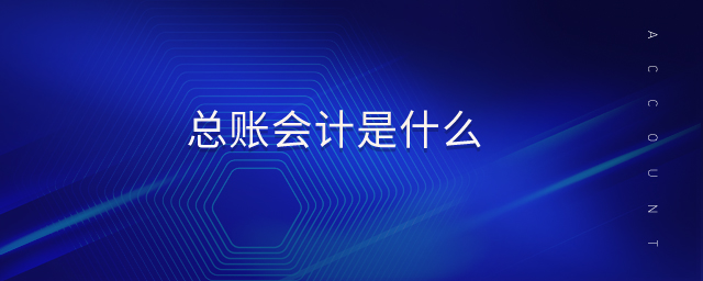 總賬會計(jì)是什么 總賬會計(jì)是什么