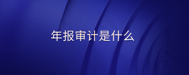 年報(bào)審計(jì)是什么