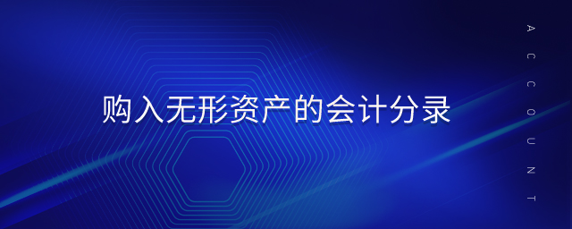 購入無形資產(chǎn)的會計(jì)分錄 購入無形資產(chǎn)的會計(jì)分錄
