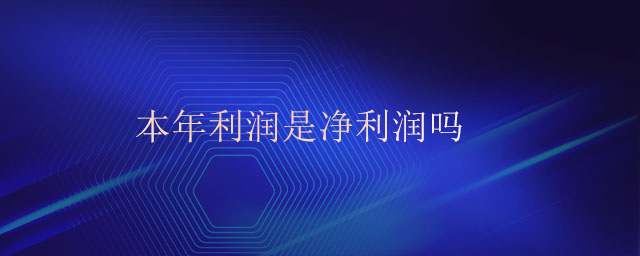 本年利潤(rùn)是凈利潤(rùn)嗎