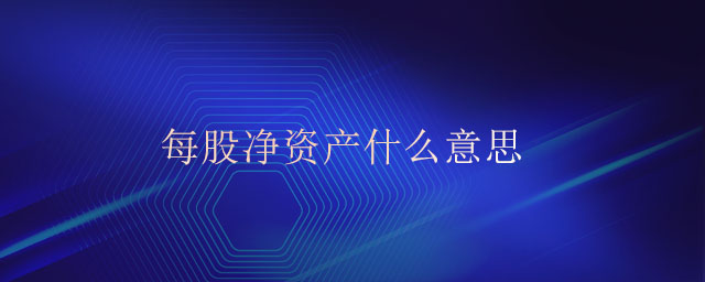每股凈資產什么意思