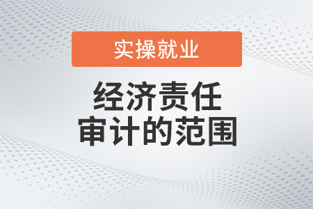 經(jīng)濟責任審計的范圍都是什么？