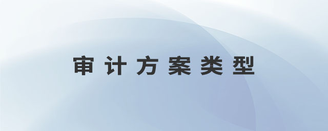 審計方案類型