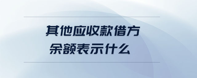 其他應(yīng)收款借方余額表示什么