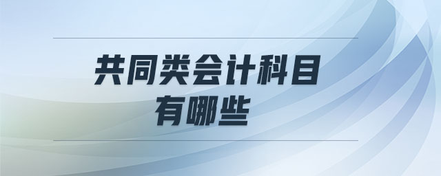 共同類會(huì)計(jì)科目有哪些