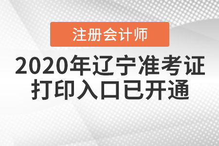 2020年遼寧注冊(cè)會(huì)計(jì)師準(zhǔn)考證打印入口已開通