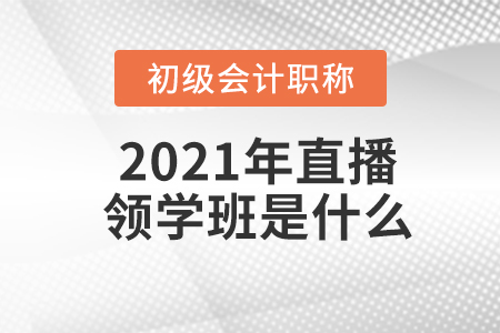 2021年初級會計職稱直播領(lǐng)學班是什么