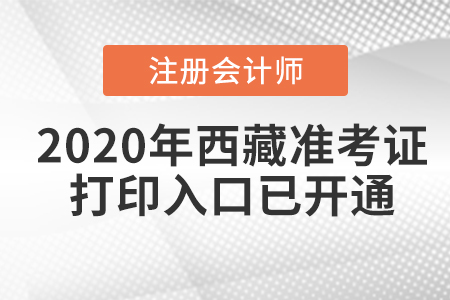 2020年西藏注冊會計師準(zhǔn)考證打印入口已開通