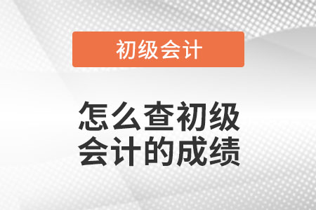 怎么查初級會計的成績