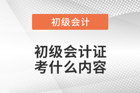 初級會計證考什么內容