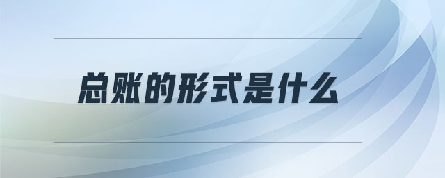 總賬的形式是什么 總賬的形式是什么