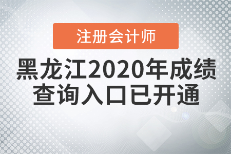 黑龍江2020年注冊(cè)會(huì)計(jì)師成績(jī)查詢(xún)?nèi)肟谝验_(kāi)通
