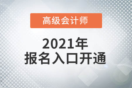 高級(jí)會(huì)計(jì)師報(bào)名入口2022年在哪里？