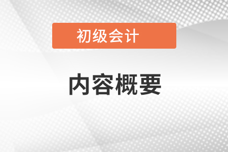 初級(jí)會(huì)計(jì)內(nèi)容概要