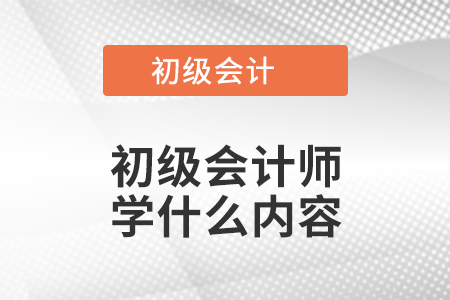 初級會計師學(xué)什么內(nèi)容
