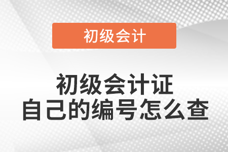 初級會計證自己的編號怎么查