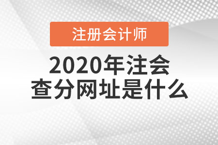 2020年注會(huì)查分網(wǎng)址是什么？