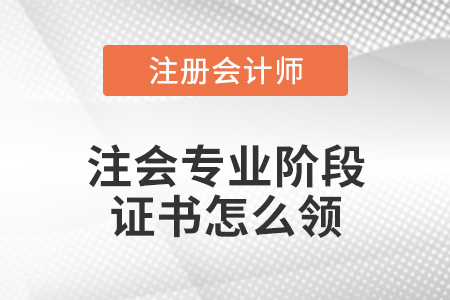 注會(huì)專(zhuān)業(yè)階段證書(shū)怎么領(lǐng)