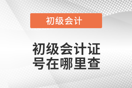 初級會計證號在哪里查