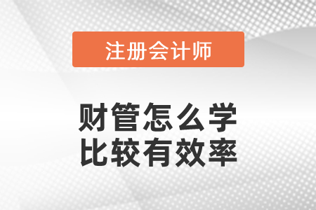 注會(huì)財(cái)管怎么學(xué)比較有效率