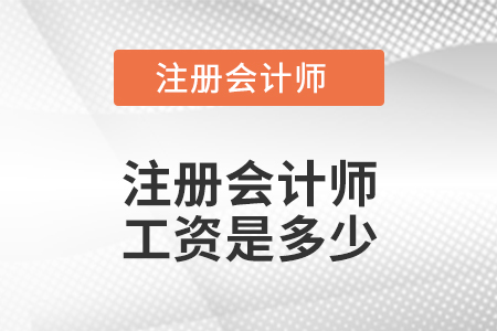 注冊會計師工資是多少？