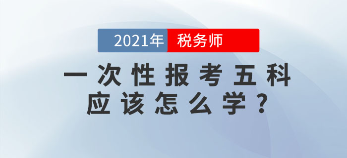 備考稅務師考試，想要一次性報考五科應該怎么學？