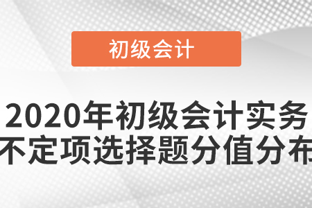 2020年初級會計實務(wù)不定項選擇題分值分布