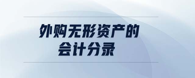 外購無形資產(chǎn)的會計分錄