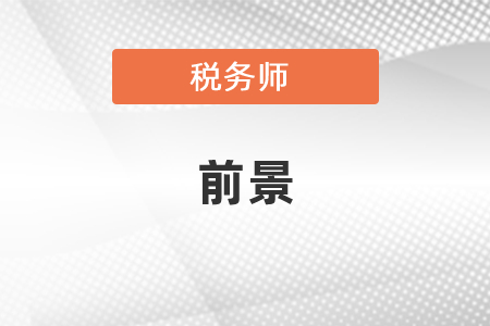 稅務(wù)師的前景如何？