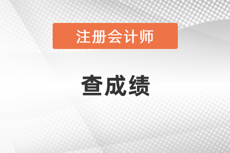 2020年注冊(cè)會(huì)計(jì)師考試查成績(jī)
