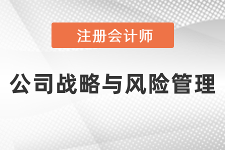 注冊(cè)會(huì)計(jì)師戰(zhàn)略考試題型及分?jǐn)?shù)