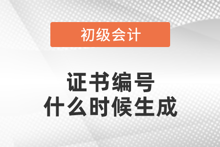 初級會計證書編號什么時候生成