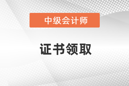 中級(jí)會(huì)計(jì)師證書(shū)樣本圖片