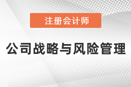 注會戰(zhàn)略考試重點總結(jié)