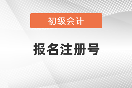 初級會計考試報名注冊號忘了怎么辦？