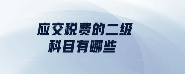 應(yīng)交稅費(fèi)的二級(jí)科目有哪些 應(yīng)交稅費(fèi)的二級(jí)科目有哪些