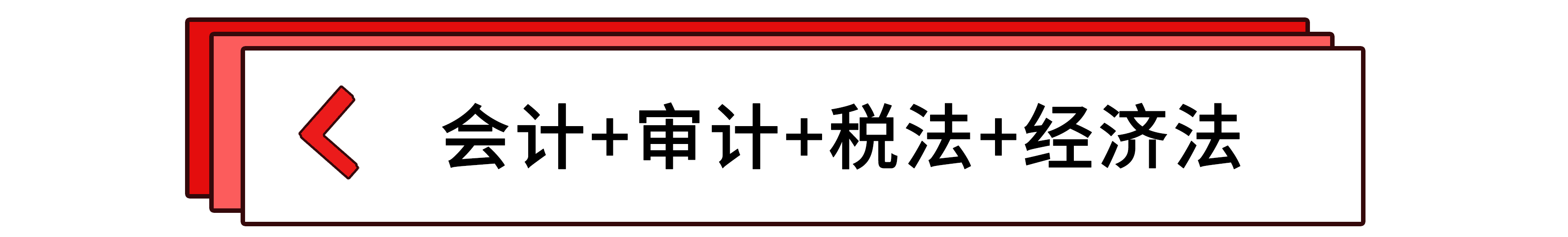 會(huì)計(jì)+審計(jì)+稅法+經(jīng)濟(jì)法
