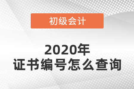 2020年初級會(huì)計(jì)證書編號怎么查詢