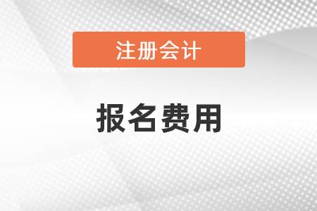 2021年注會綜合階段報名費是多少？