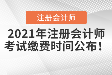 2021年注冊會計師考試繳費時間公布！