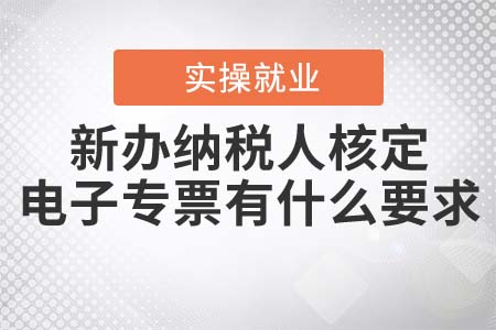 新辦納稅人核定電子專(zhuān)票有什么要求？